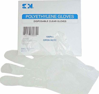 Picture of Gloves -Polyethylene 100 Large