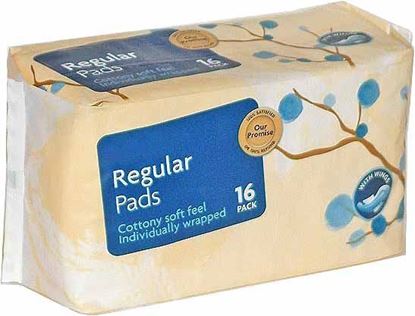 Picture of Sanitary Napkins -16 pack