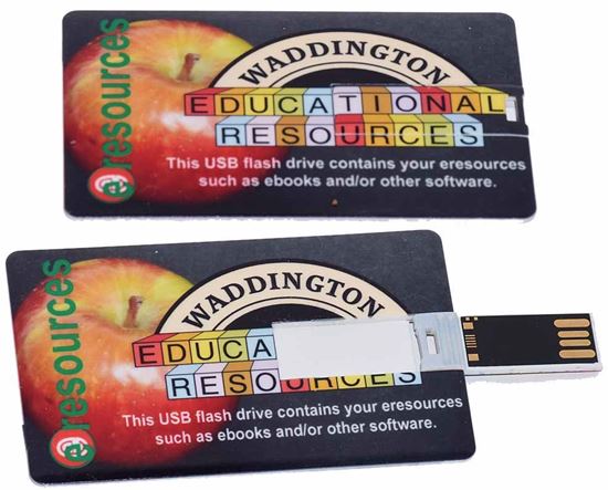 Picture of USB Flash Card