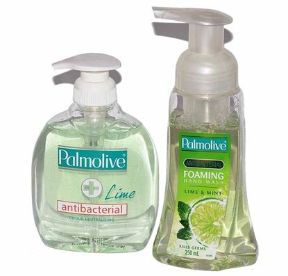 Picture of Soap - Antiseptic 250ml